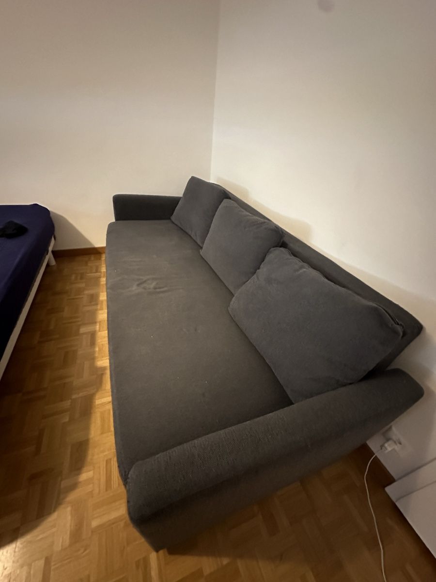 Divani: Sofa Bed – Usato da Olten venduto da Saul.Bars 1
