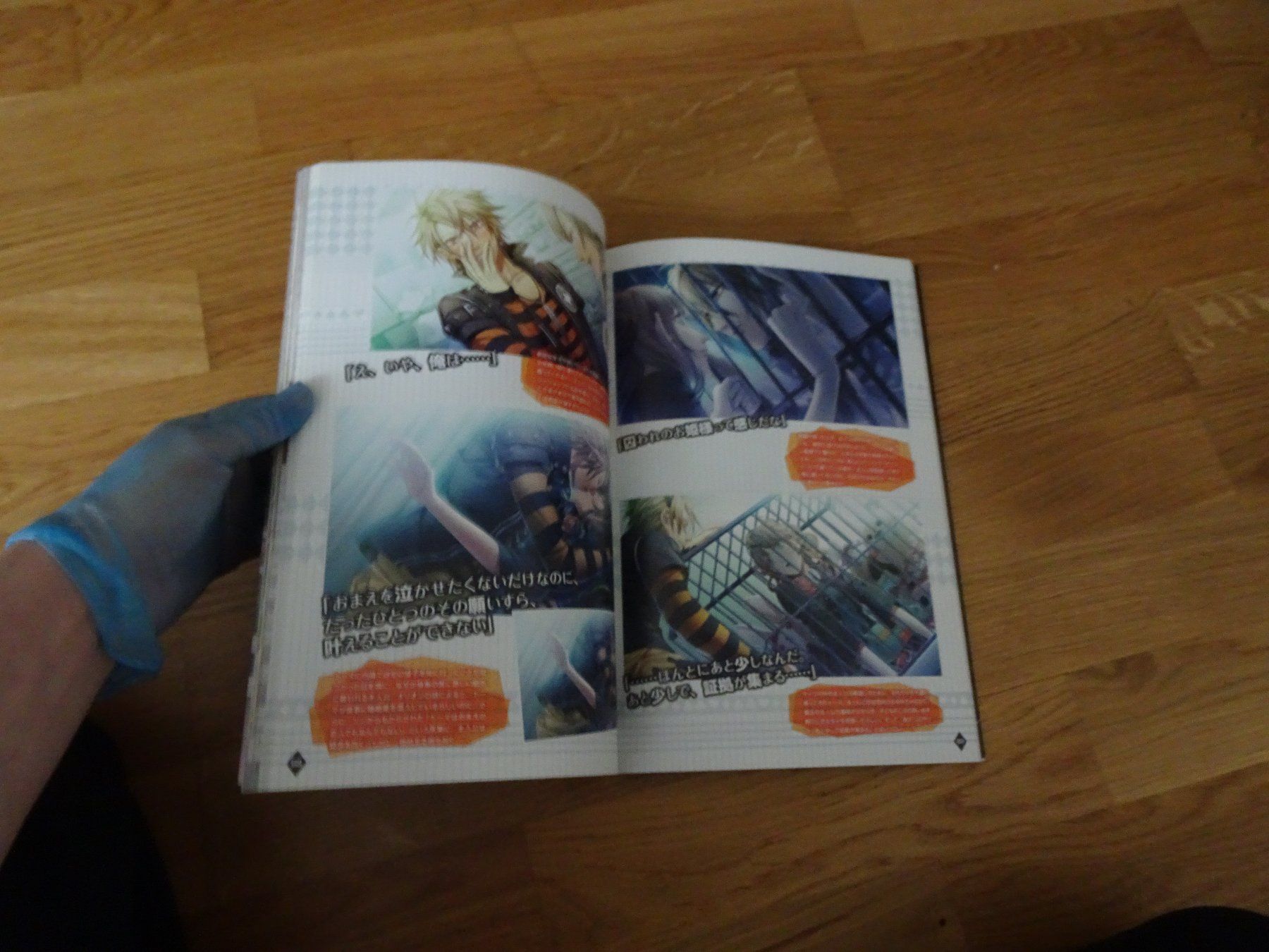 Libri: Amnesia - B'sLog Collection Artbook – Usato da Bern venduto da Maronn 4