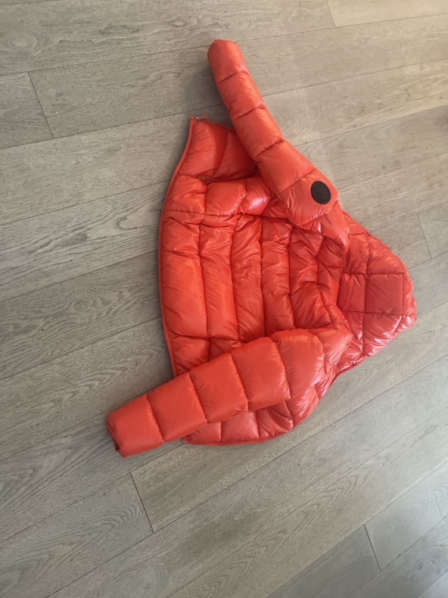 Save the duck Giacche: Puffy new save the ducks jacket for 14yrs old – Nuovo (secondo la descrizione) da le Grand saconnex venduto da Markos32 1