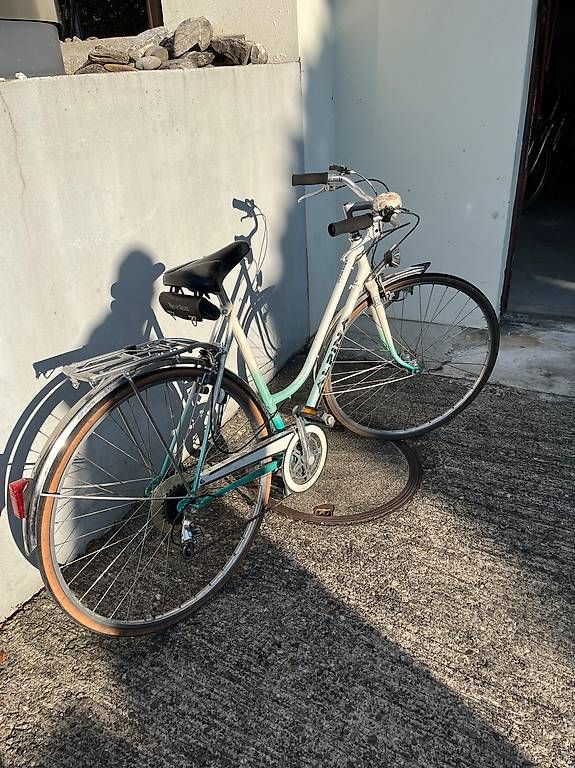Biciclette: Damenvelo Alpina – Usato da Eschikofen venduto da noweli