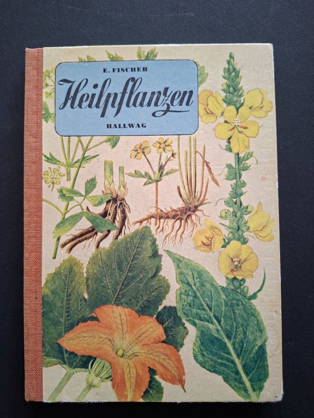 Bücher: Blumenbücher – Gebraucht aus Goldach von armando_r 5