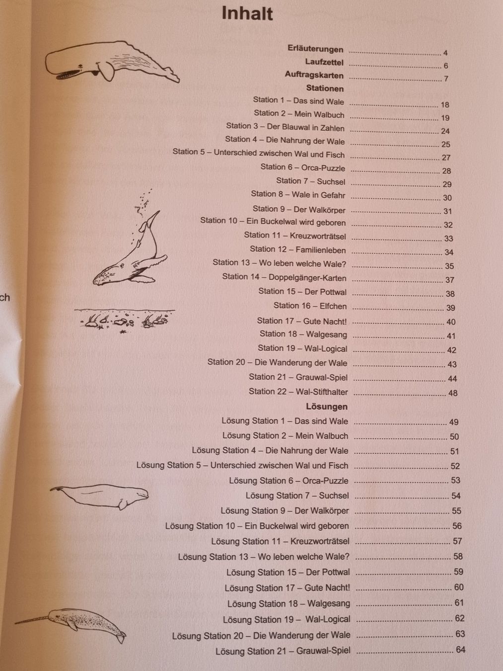Libri: "Der Wal" Lernwerkstatt 3-4 Klasse – Usato da Weite venduto da Nur63 1
