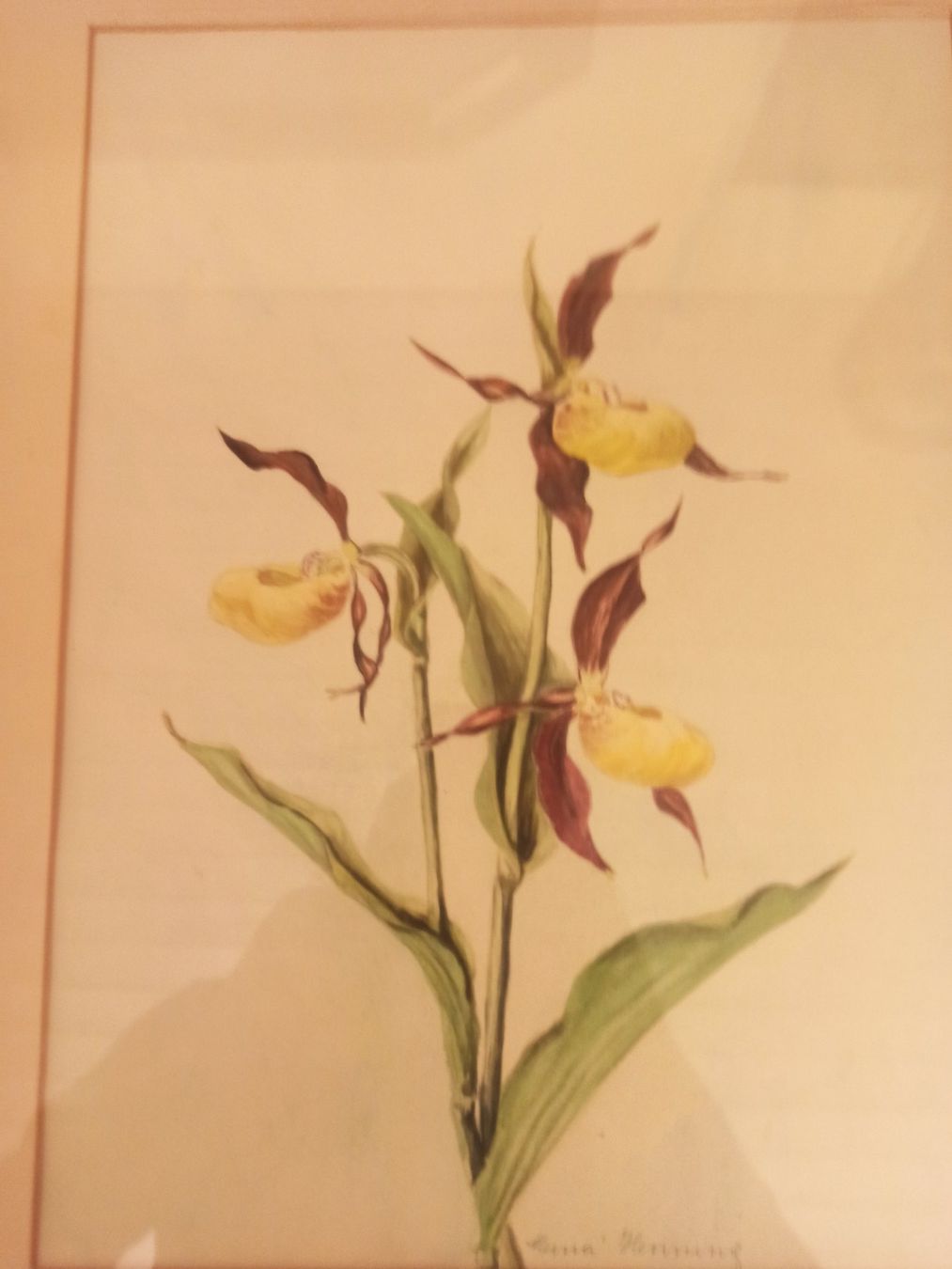 Foto & Immagini: 3 Stück Blumen Bilder – Usato da Dietikon venduto da nala_66 1