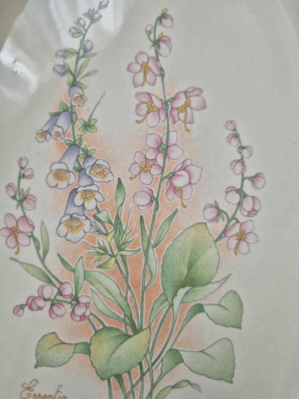 Teglie da forno: Auflaufform mit Blumendekor – Usato da Eschlikon TG venduto da zuzanka80 6