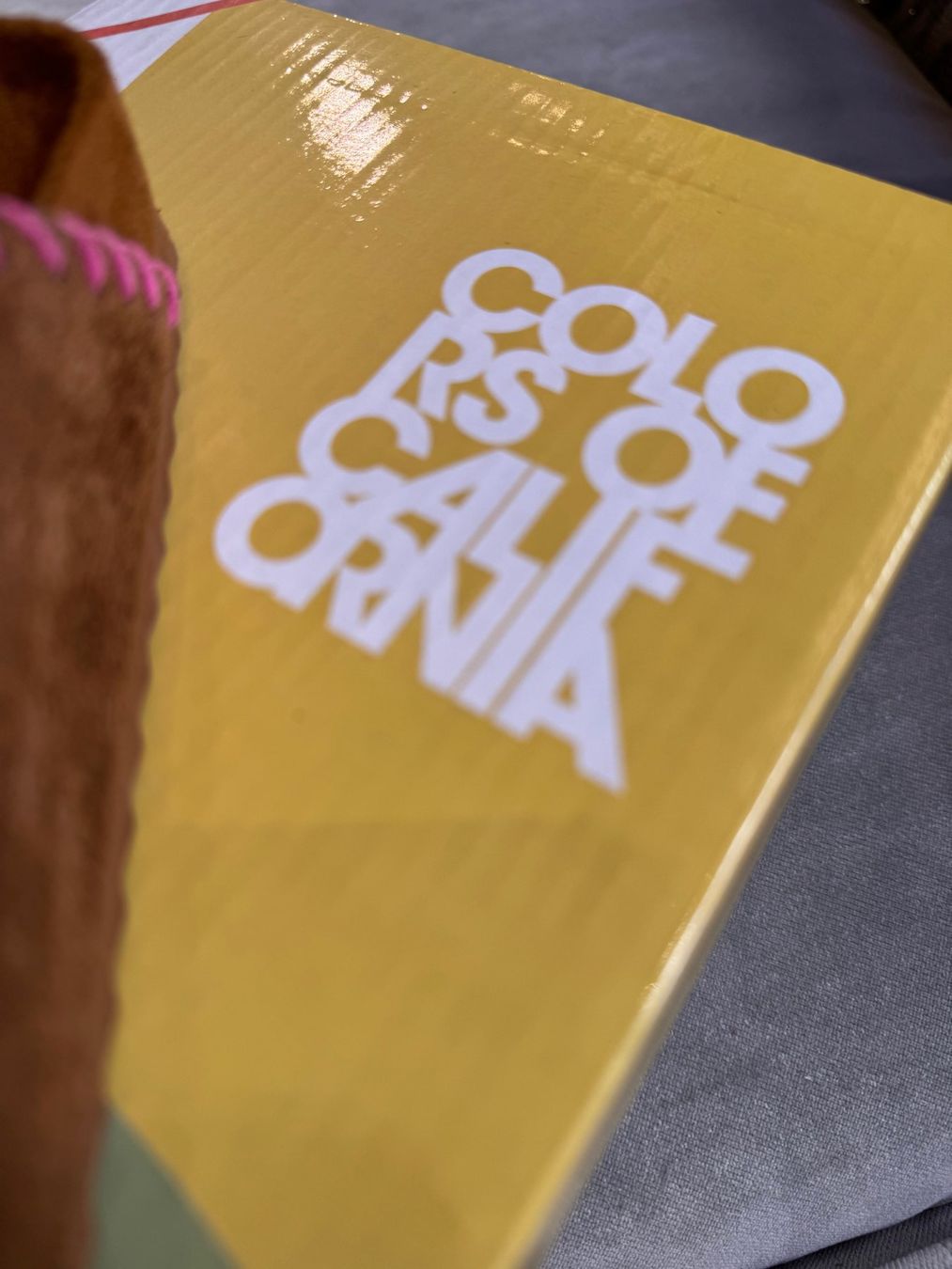 Scarpe da donna: Sandali estivi Suede n.36 – Nuovo e nell'imballaggio originale da Porza venduto da GioCa65 6