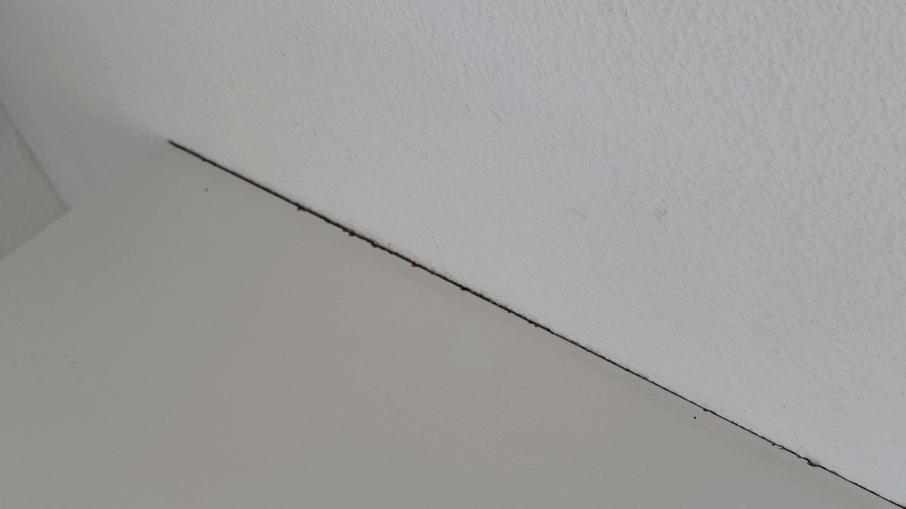 Scaffali: Wandhängendes Sideboard – Exemplar 2 – Usato da Wettingen venduto da Rosalie88 3