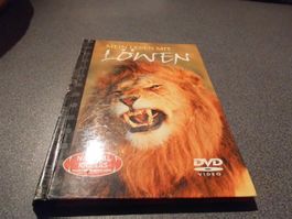 DVD Mein Leben mit Löwen