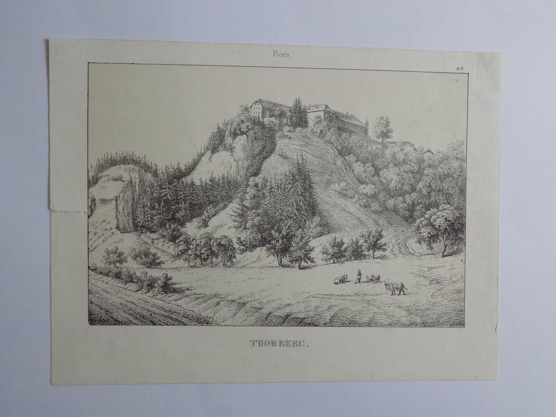 Incisioni: Thorberg Lithographie Wagner – Usato da Risch venduto da Antikfee