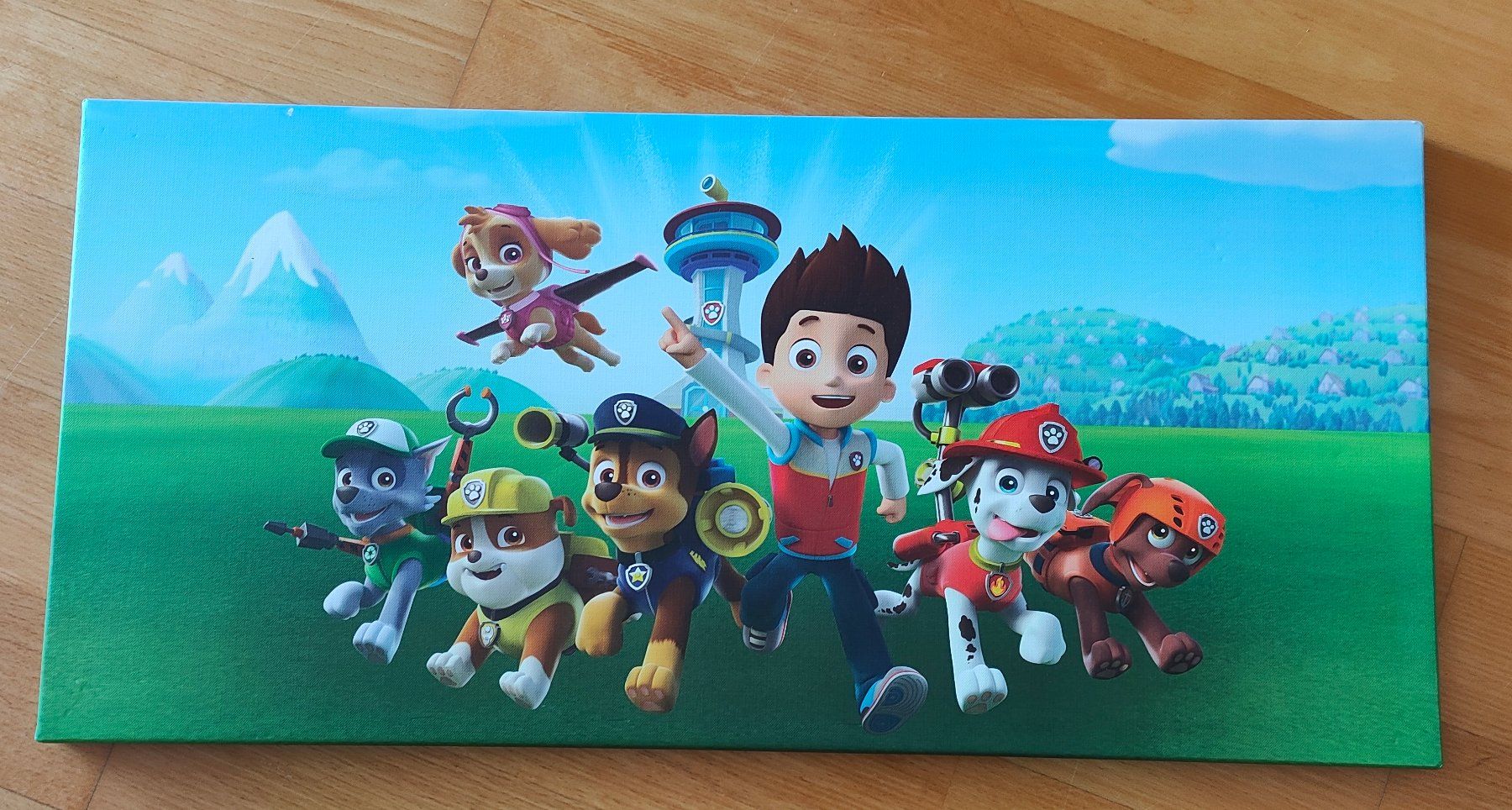 Poster & Bilder: Bild Paw Patrol 71 x 33 cm – Gebraucht aus Heerbrugg von sve_p826