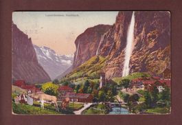 LAUTERBRUNNEN - Staubbach - Kühe - 1919