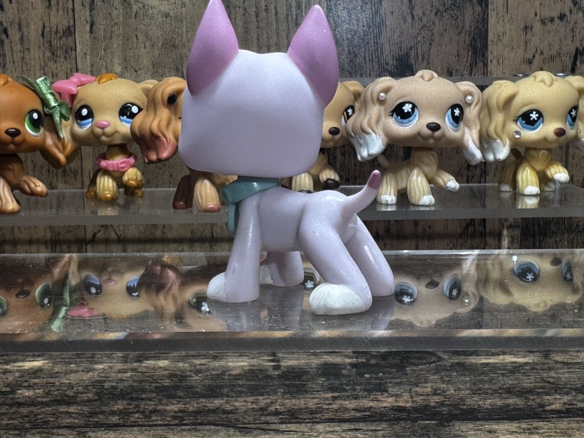 Hasbro Giocattoli: Littlest pet shop great dane – Usato da Luzern venduto da Maja.C 1