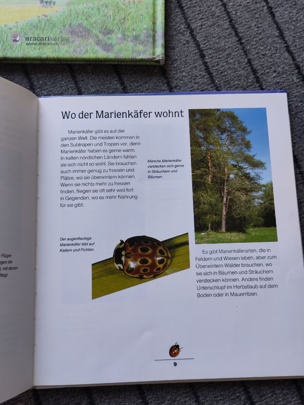 Livres: Bücherpaket Natur & Tiere  – D'occasion à Dettighofen Lengw. par mai_75wt 9