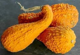 Courgette Coutors ! TRES RARE 5g
