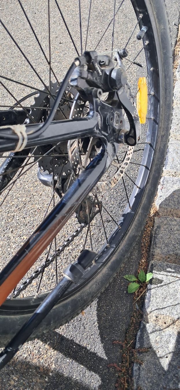 Scott Biciclette: Kinder Mountainbike – Usato da Niederglatt ZH venduto da zubi1977 4