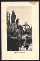 AK Bellerive /GE, Le Château, 1914