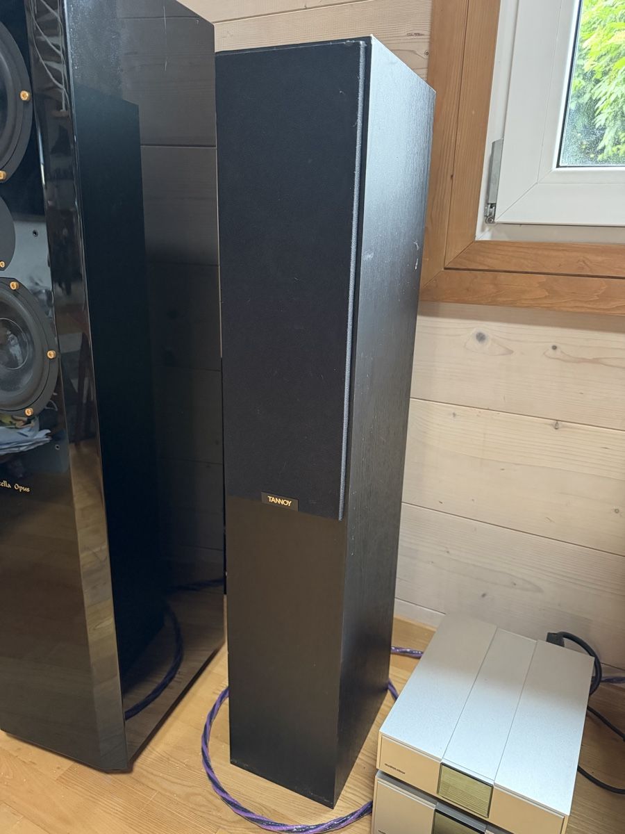 Tannoy Casse acustiche: Tannoy Eclipse Three Lautsprecher ab 1FR – Usato da Villarepos venduto da BestDeals52 1