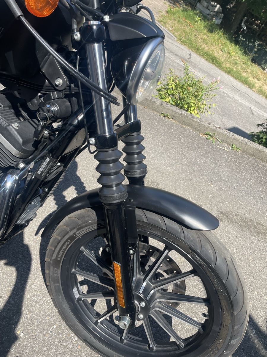 Harley-Davidson Chopper: Harley Davidson XL 883N – Gebraucht aus Birrwil von Memme0 5