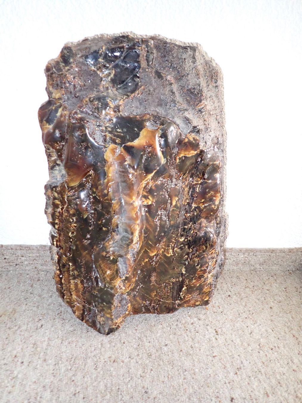 Fossili: Grosser Bernstein!  11.6 Kg!! – Usato da Wallisellen venduto da Mf1000
