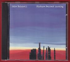 Edie Brickell - Picture Perfect Morning (CD)