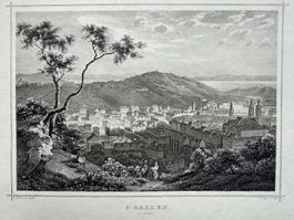 St. Gallen Rohbock