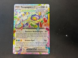 Terapagos EX 179/217 - Erhabene Helden - de