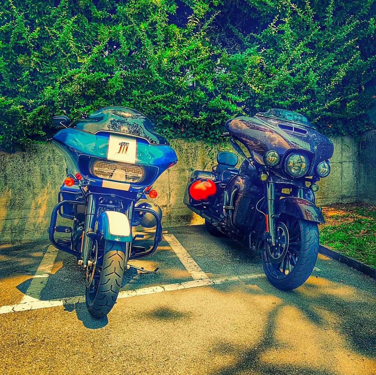 Harley-Davidson Alle Motorradersatzteile: Cupolino Harley Turing – Gebraucht aus Brè sopra Lugano von micheleschmid 4