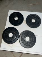 4x1.25 Kurzhantelscheiben