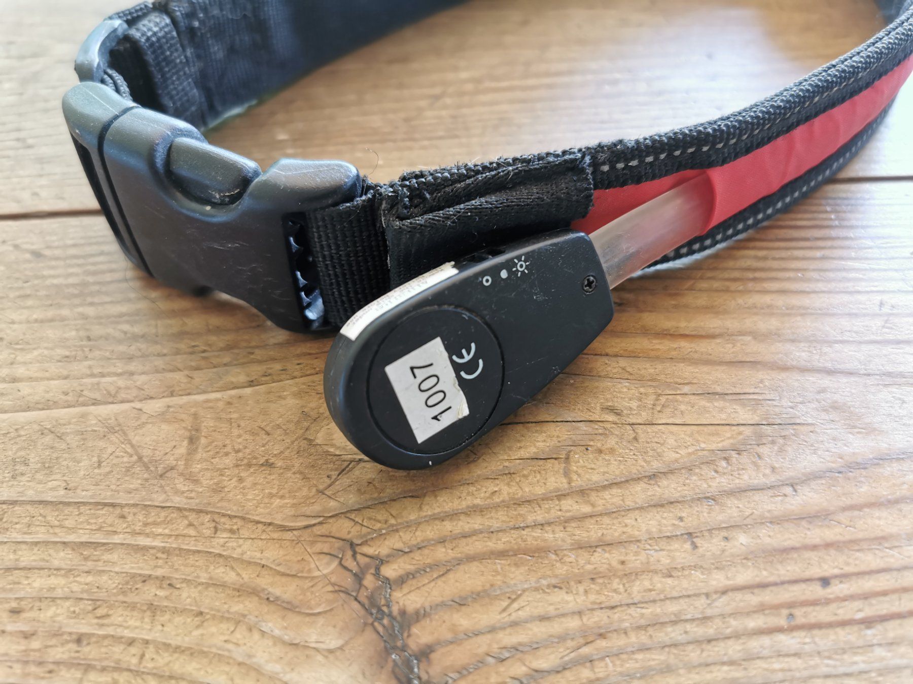 Leine & Halsband: Hundehalsband leuchtend – Gebraucht aus Wettingen von Nini54