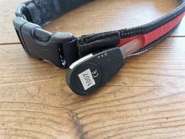 Hundehalsband leuchtend