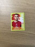 Panini FIFA WC CAN 16