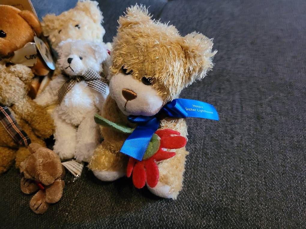 Giocattoli: 6 charmante Teddybären – Usato da Steckborn venduto da bee_76v9 1