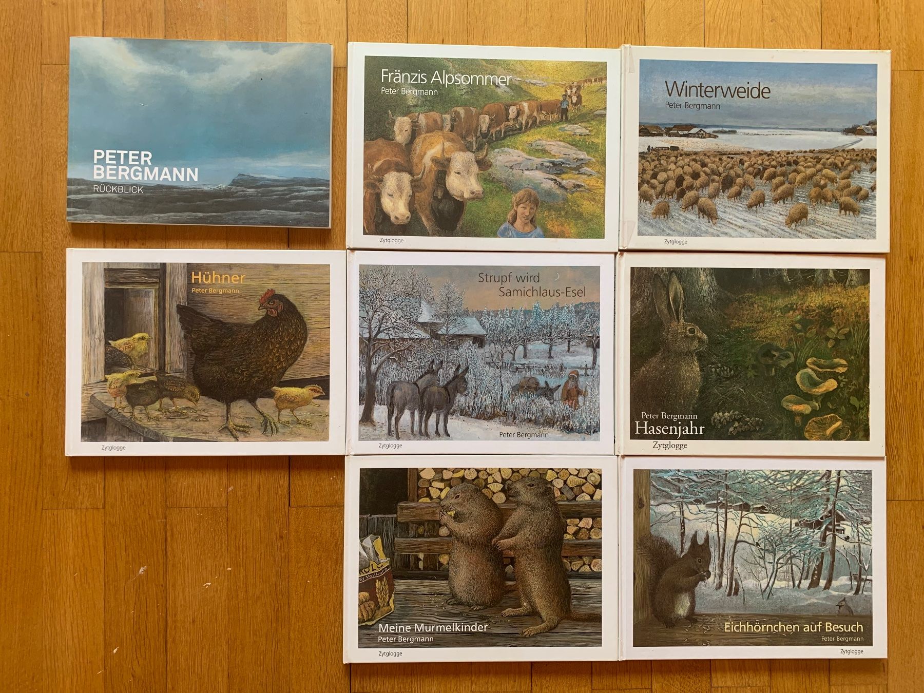 Libri: Peter Bergmann Kinderbuch Bilderbuch Buch – Usato da Bern venduto da ab-einem-Franken
