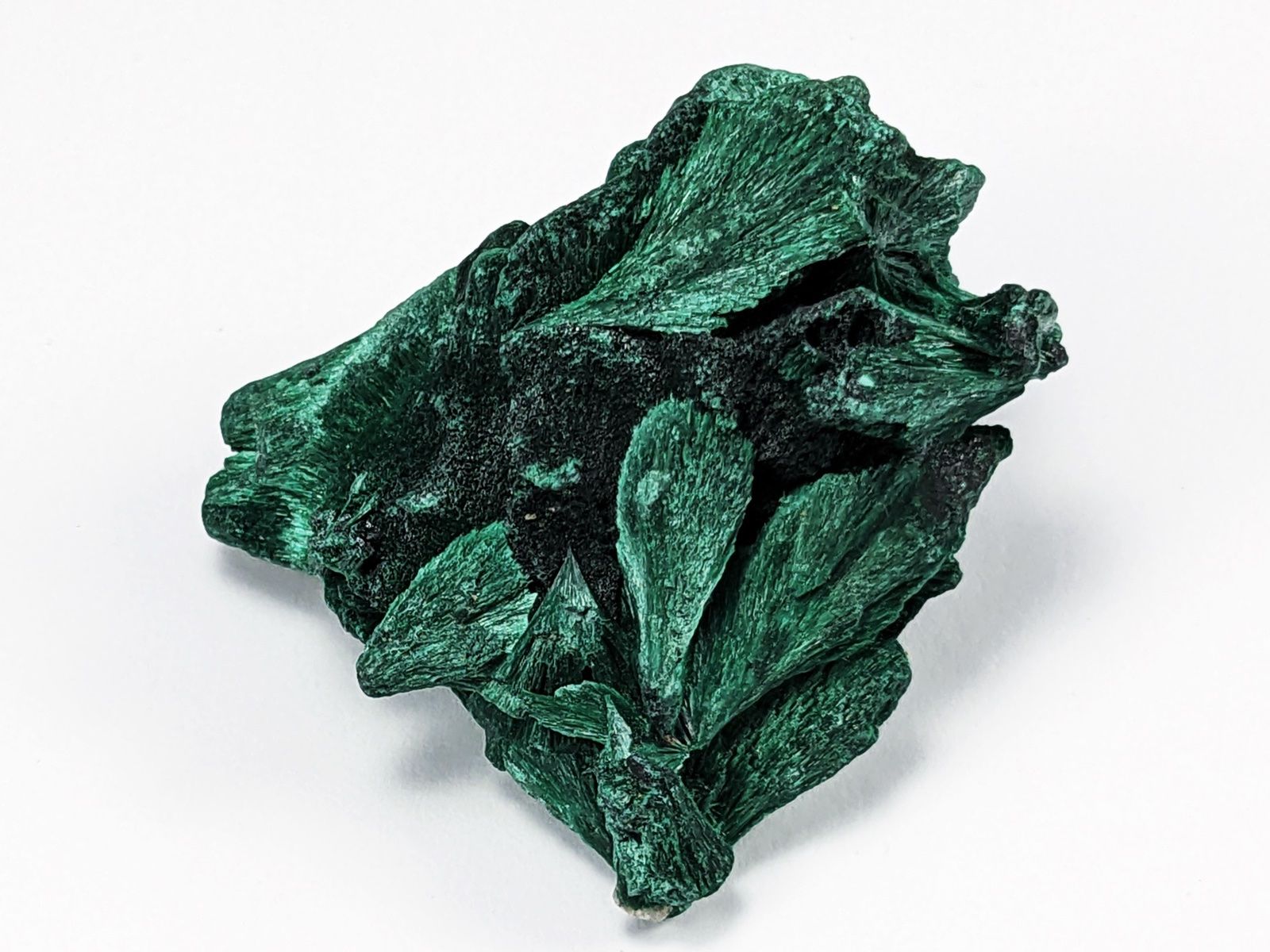 Mineralien & Heilsteine: Malachit Rohstein/Faser Malachit 3,9cm – Neu und originalverpackt aus Meilen von StoneGarden