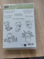 *** STEMPEL KATZEN ***