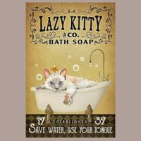 🔥 LAZY KITTY BATH Katzen Blechschild 💛 20x30cm OVP 🔥