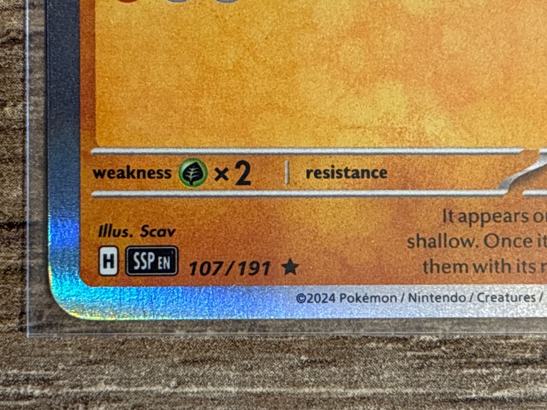 Pokémon Carte collezionabili: Gastrodon SSP EN NM – Nuovo (secondo la descrizione) da Frutigen venduto da swissTCGworld 1