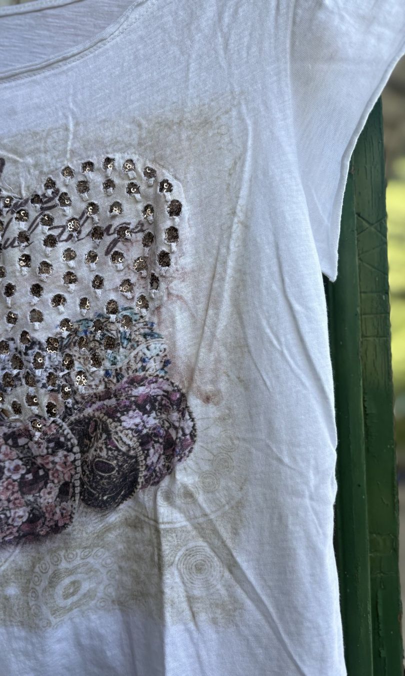 T-Shirts: T-Shirt in cotone, M – Neu und originalverpackt aus Locarno von DBSiesta 2