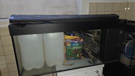 Aquarium Juwel 240, light Odyssey, JBL Greenlight ext filt