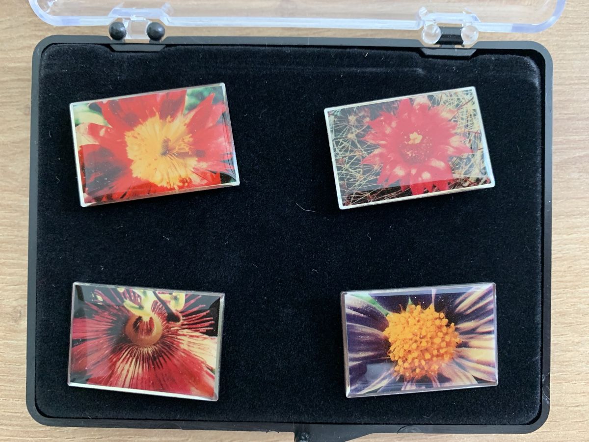 Placchette & Badge: Blumen-Pin-Set, 4 Stück – Usato da Wilen b. Wil venduto da Huibuh