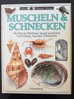Sehen Staunen Wissen - Muscheln & Schnecken
