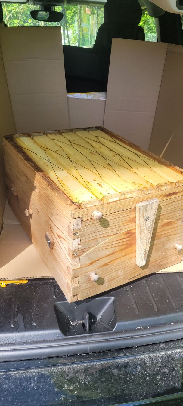 Alveari: hausse de Ruche flowhive – Usato da Genève venduto da uneautresaison