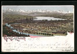 Litho Zürich, Totalansicht aus der Voge
