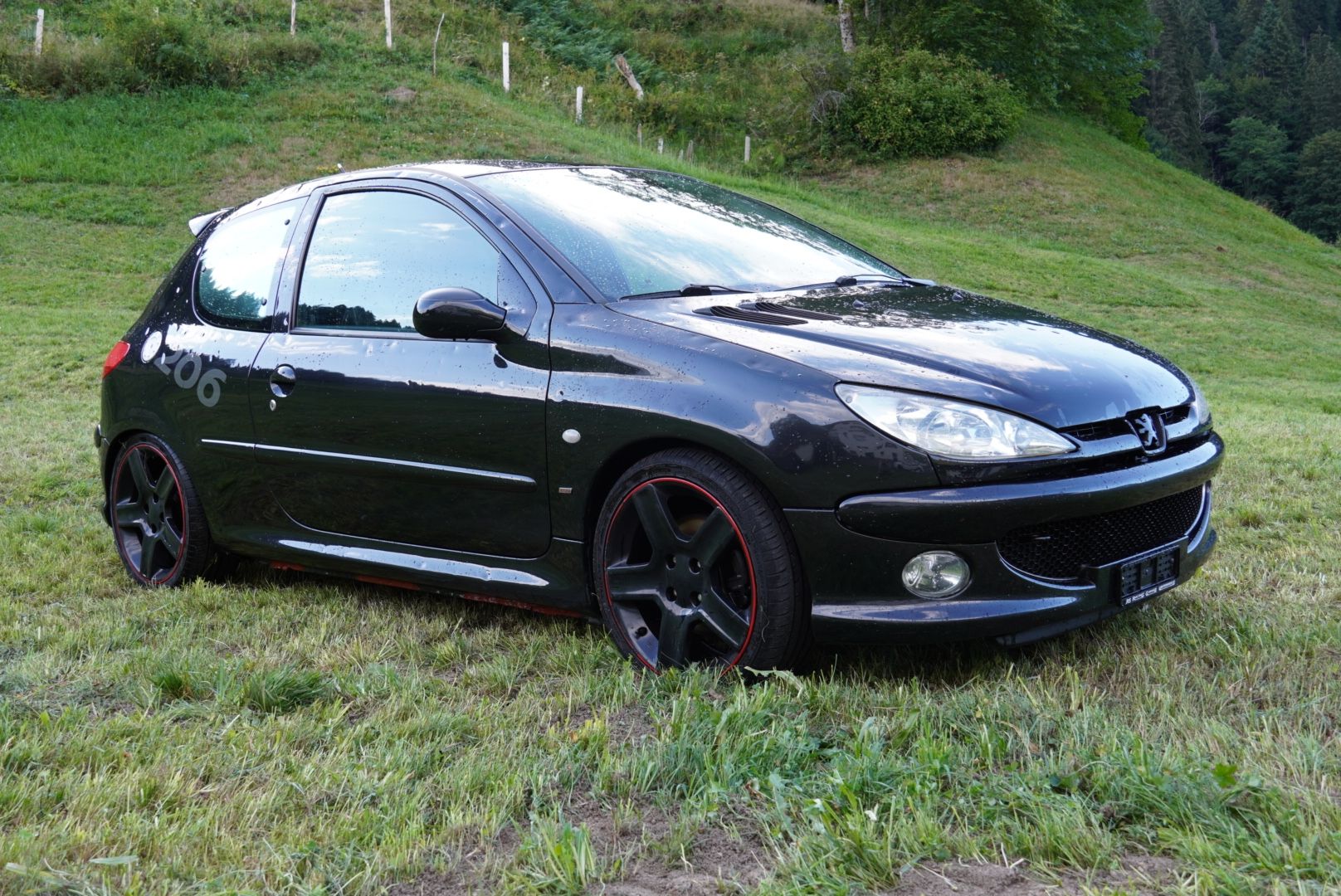 Peugeot Automobili: Peugeot 206 RC – Usato da Alpthal venduto da Birchler206 1