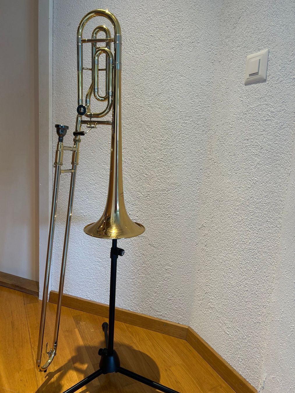 Strumenti musicali: Posaune mit Quartventil inkl. Tasche und Ständer – Usato da Aathal-Seegräben venduto da sar_r6hm
