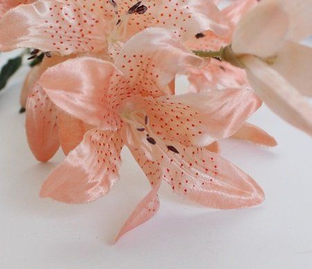 Bastelsets: Seidenblumen lachs / orange – Neu (gemäss Beschreibung) aus Schlatt TG von kreativ-atelier 1