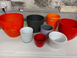 diverse Blumentöpfe