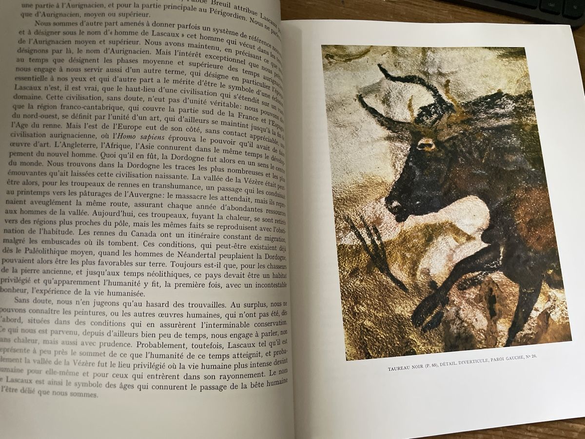Libri: Kunstkatalog Lascaux Skira 1992 – Usato da Winterthur venduto da cheerio97 5