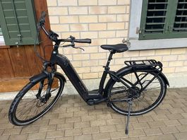 Damen e-bike Flyer 