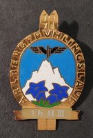 Y911 - Brosche 1974 Arlberg Frühlingslauf 1. Pr. AK III