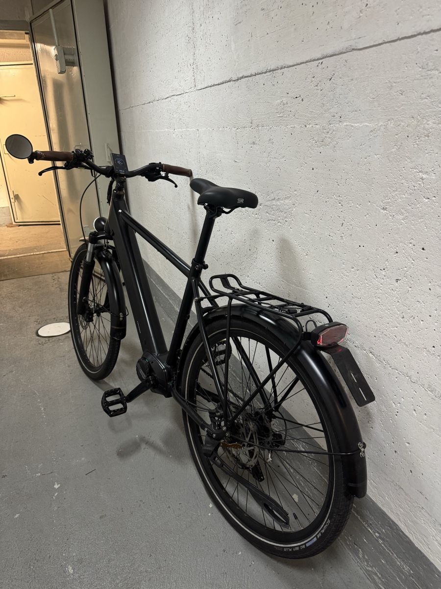 Biciclette: E- Bike Ego Movement – Usato da Wil SG venduto da andi_aliaj 1